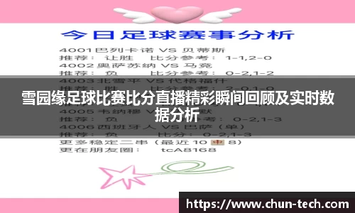 雪园缘足球比赛比分直播精彩瞬间回顾及实时数据分析