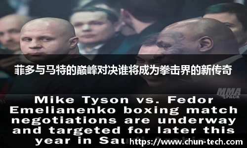 菲多与马特的巅峰对决谁将成为拳击界的新传奇