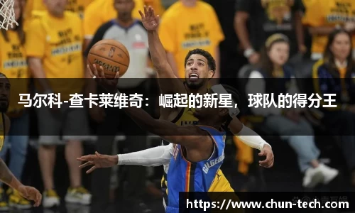 马尔科-查卡莱维奇：崛起的新星，球队的得分王